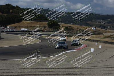 media/Aug-23-2024-Speed Ventures (Fri) [[92f1efc5e7]]/Green/Session 1 (Turn 3)/